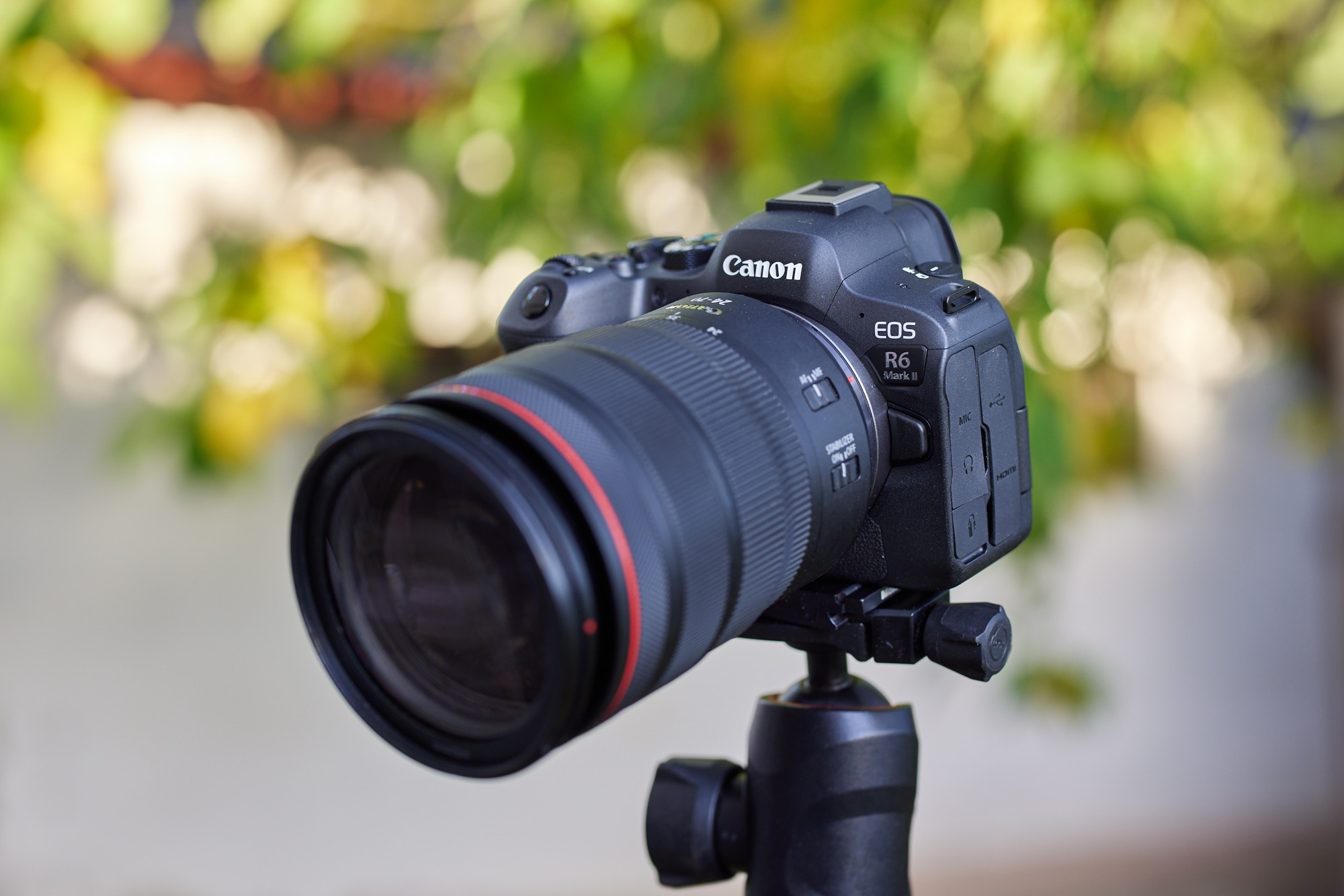 Canon EOS R6 Mark II image 8