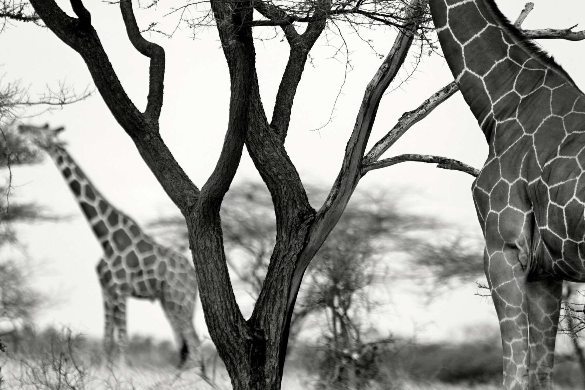 Afrika © Jan E. Svatoš